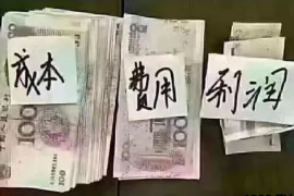 扬中贷款清欠服务